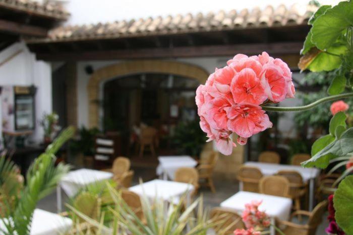Hostal Torre De Guzman Conil De La Frontera Exteriér fotografie